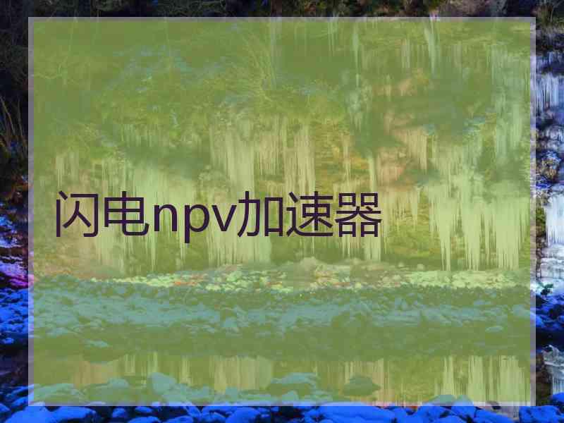 闪电npv加速器