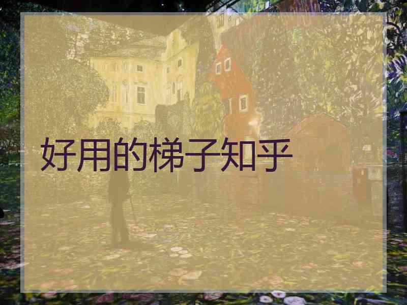 好用的梯子知乎