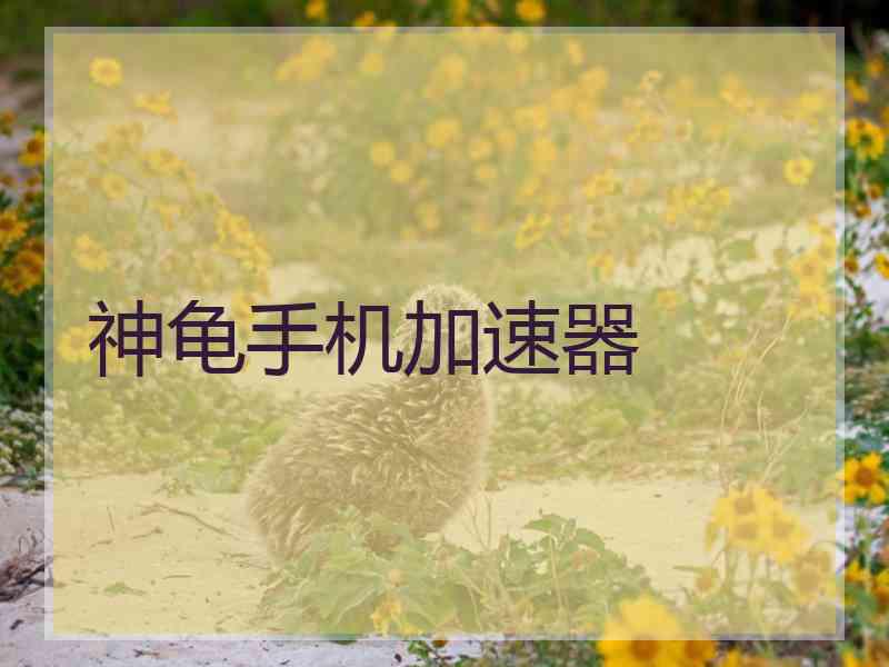 神龟手机加速器