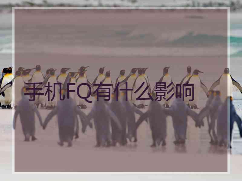 手机FQ有什么影响