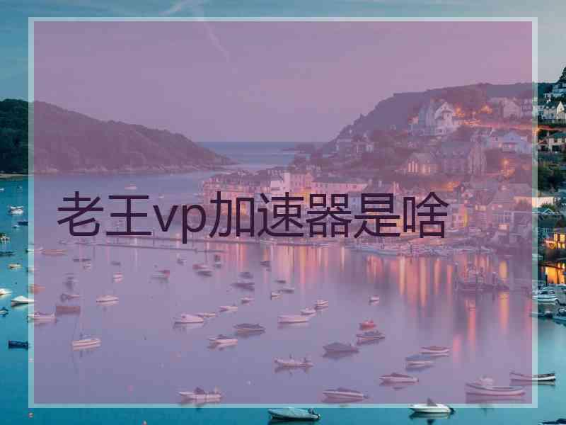 老王vp加速器是啥