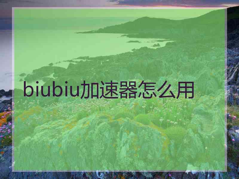 biubiu加速器怎么用