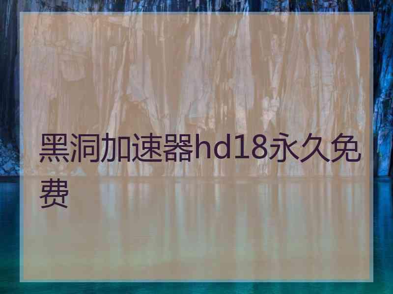 黑洞加速器hd18永久免费