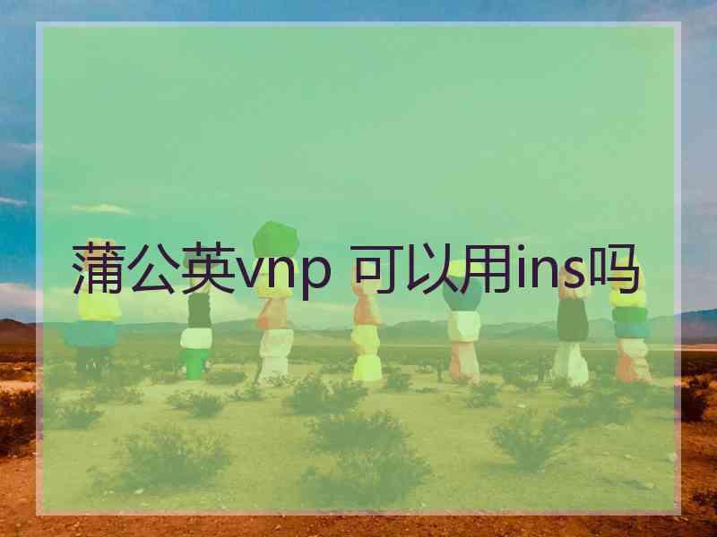 蒲公英vnp 可以用ins吗