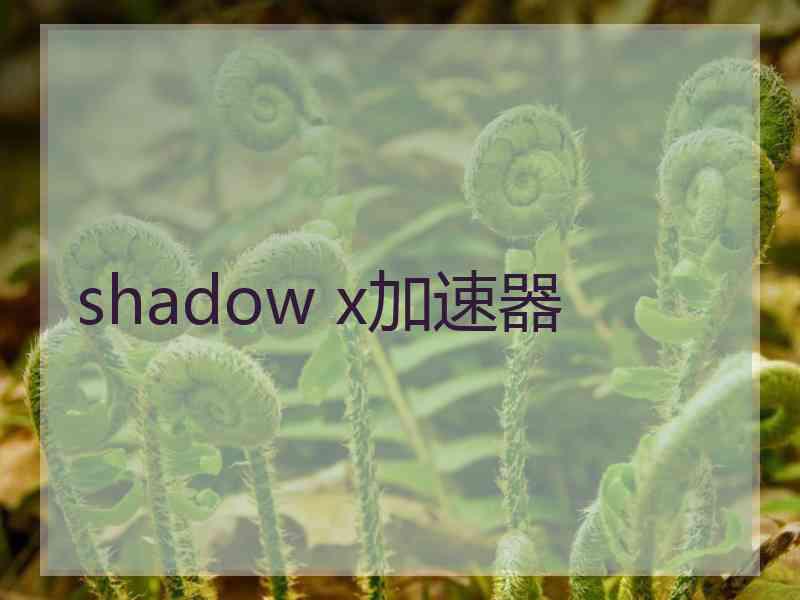 shadow x加速器