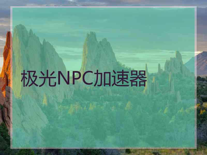 极光NPC加速器