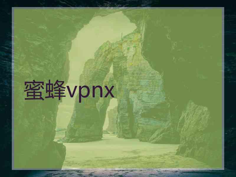 蜜蜂vpnx