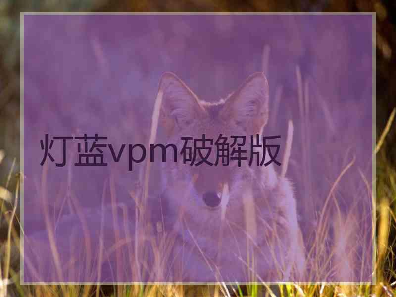 灯蓝vpm破解版