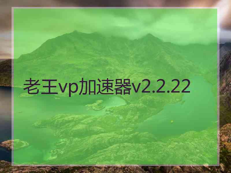 老王vp加速器v2.2.22