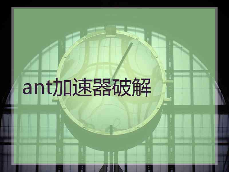 ant加速器破解