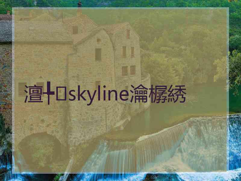 澶╄skyline瀹樼綉