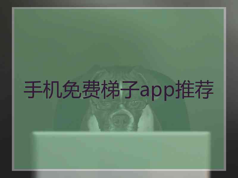 手机免费梯子app推荐