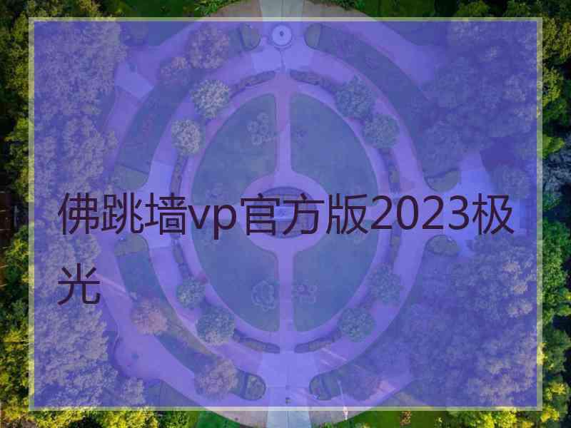 佛跳墙vp官方版2023极光