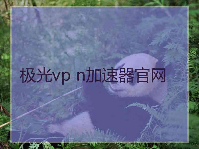 极光vp n加速器官网