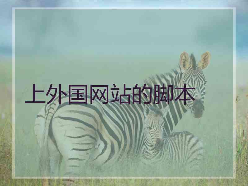 上外国网站的脚本