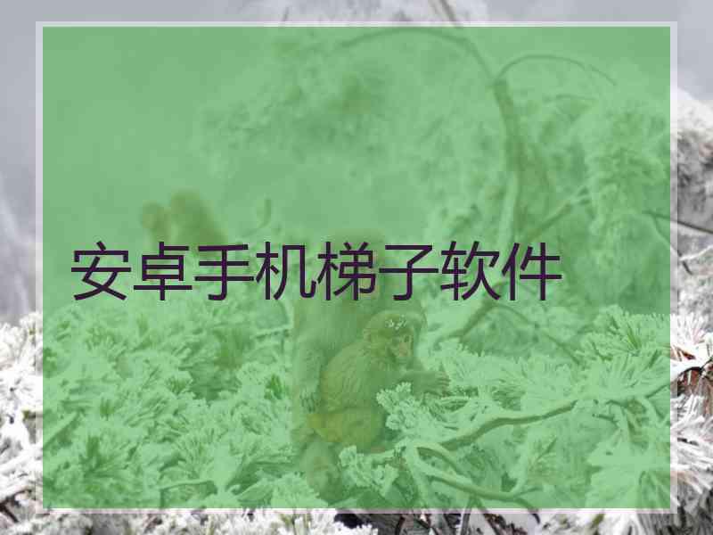 安卓手机梯子软件