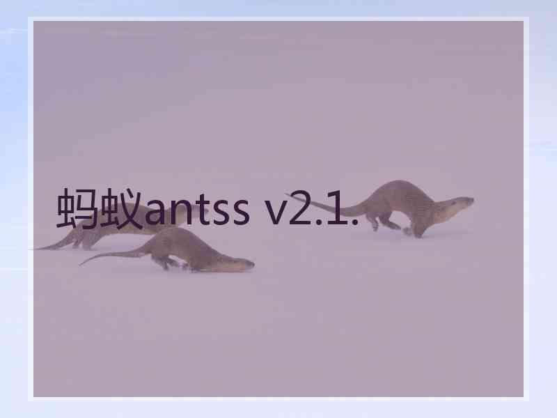蚂蚁antss v2.1.