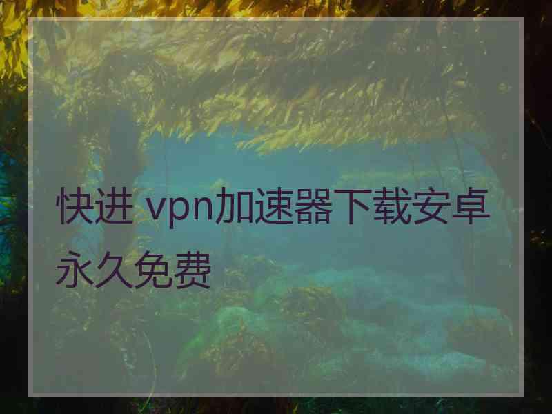 快进 vpn加速器下载安卓永久免费