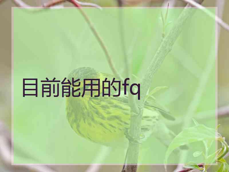 目前能用的fq