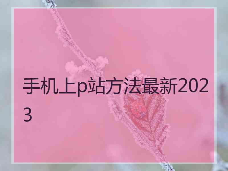 手机上p站方法最新2023