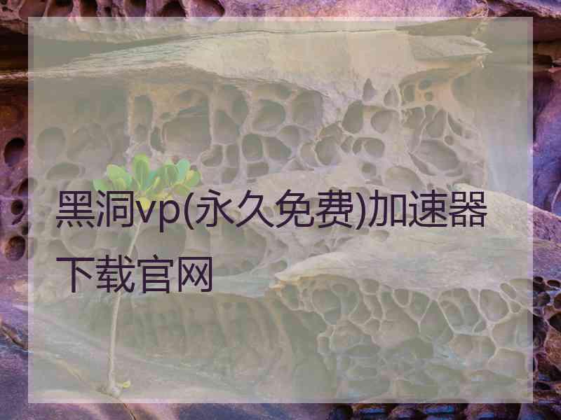 黑洞vp(永久免费)加速器下载官网