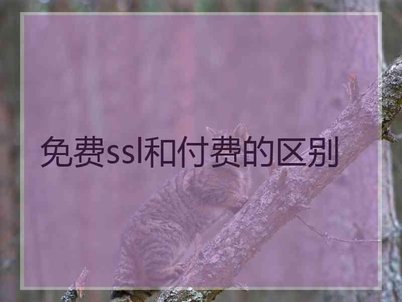 免费ssl和付费的区别