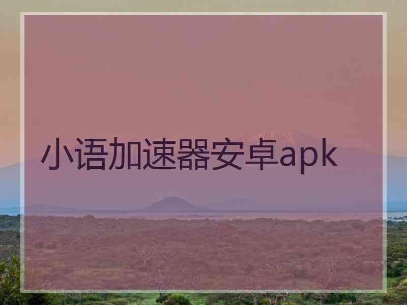 小语加速器安卓apk