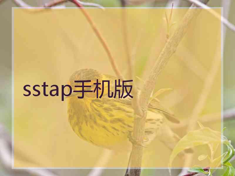 sstap手机版