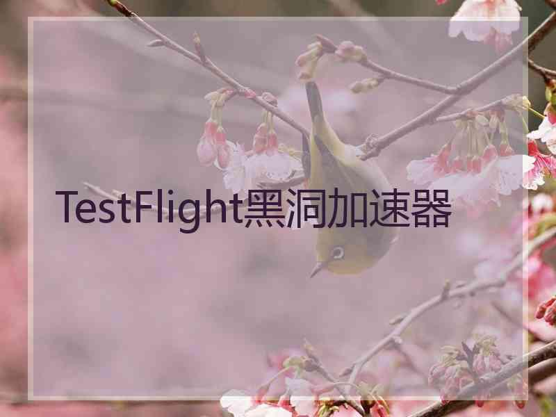 TestFlight黑洞加速器