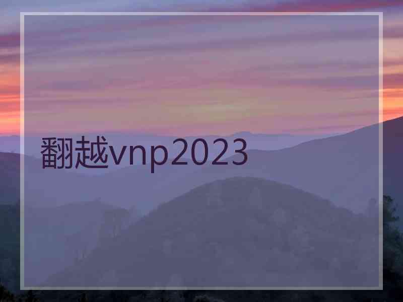 翻越vnp2023