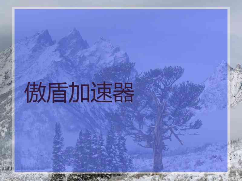 傲盾加速器