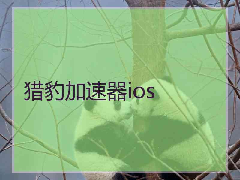 猎豹加速器ios