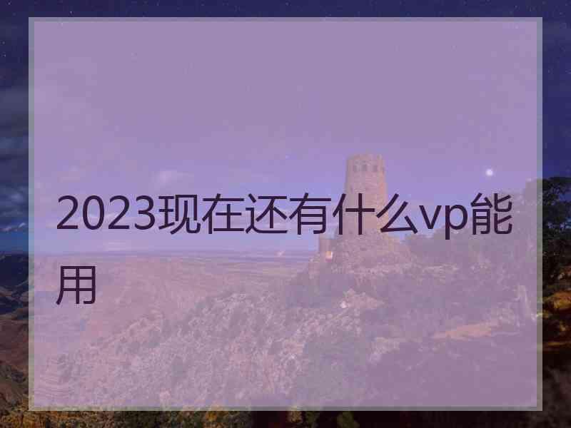 2023现在还有什么vp能用