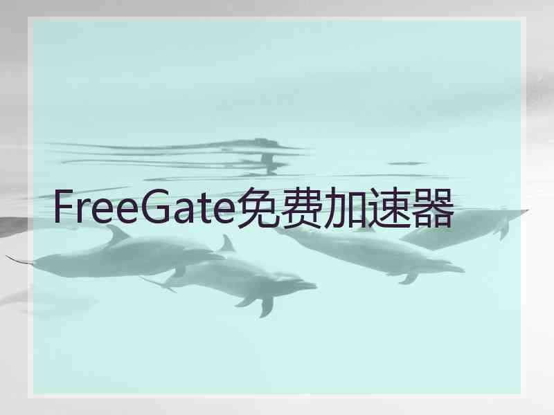 FreeGate免费加速器