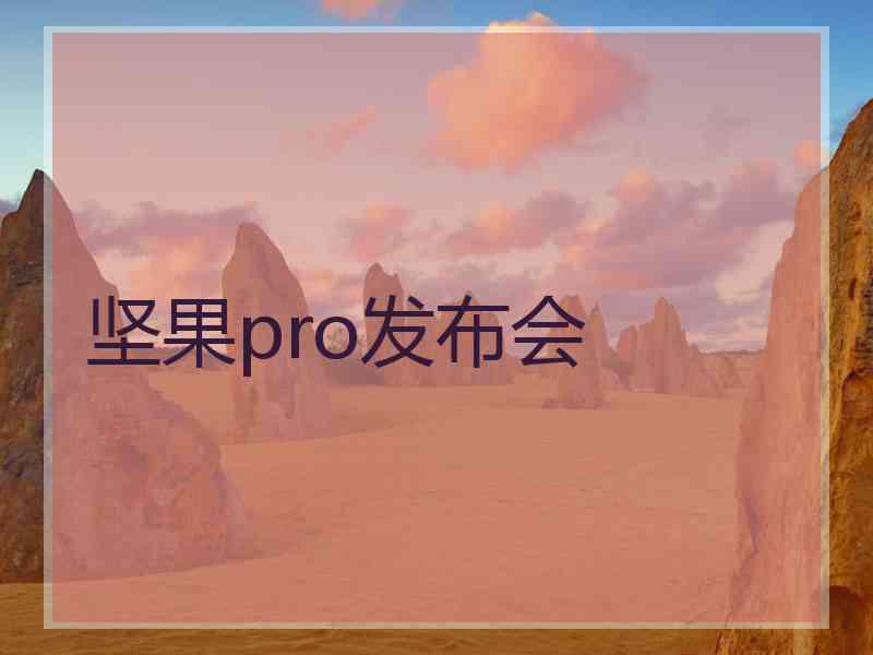 坚果pro发布会 坚果pro发布会