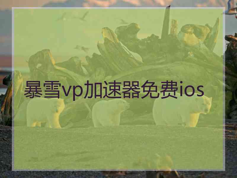 暴雪vp加速器免费ios