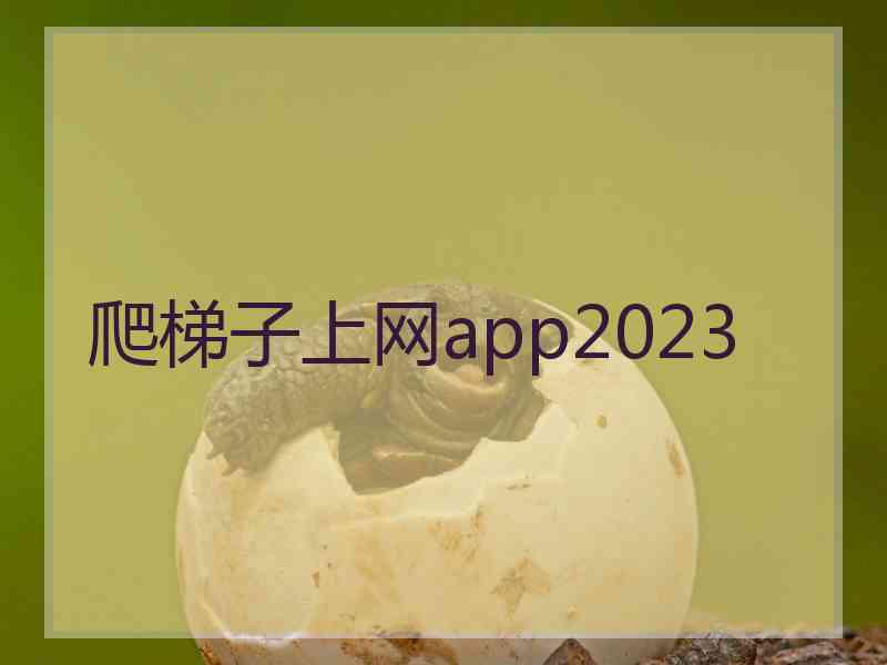 爬梯子上网app2023