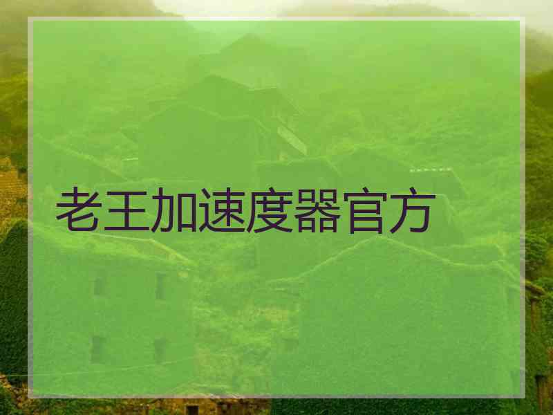 老王加速度器官方