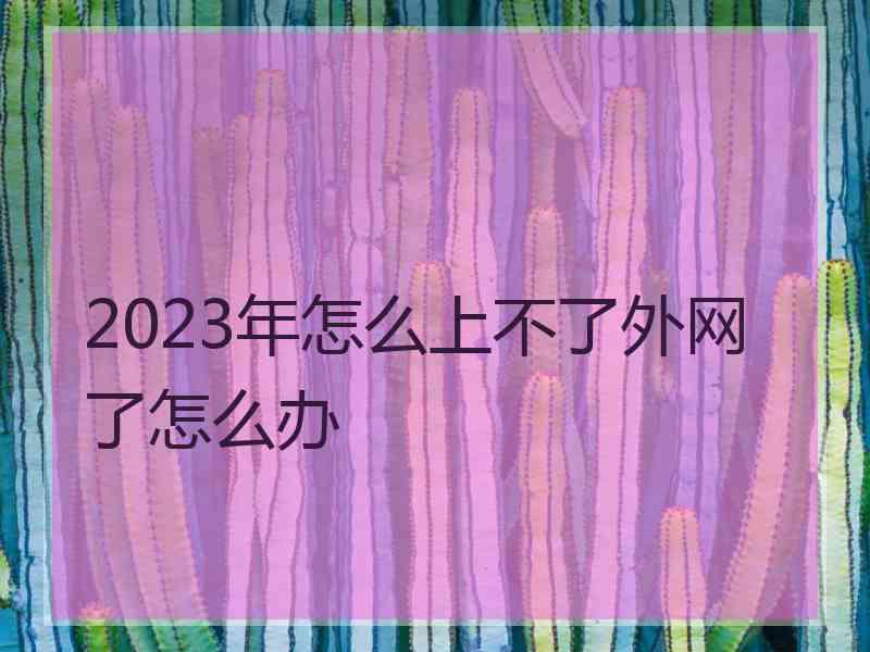 2023年怎么上不了外网了怎么办