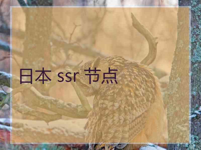 日本 ssr 节点