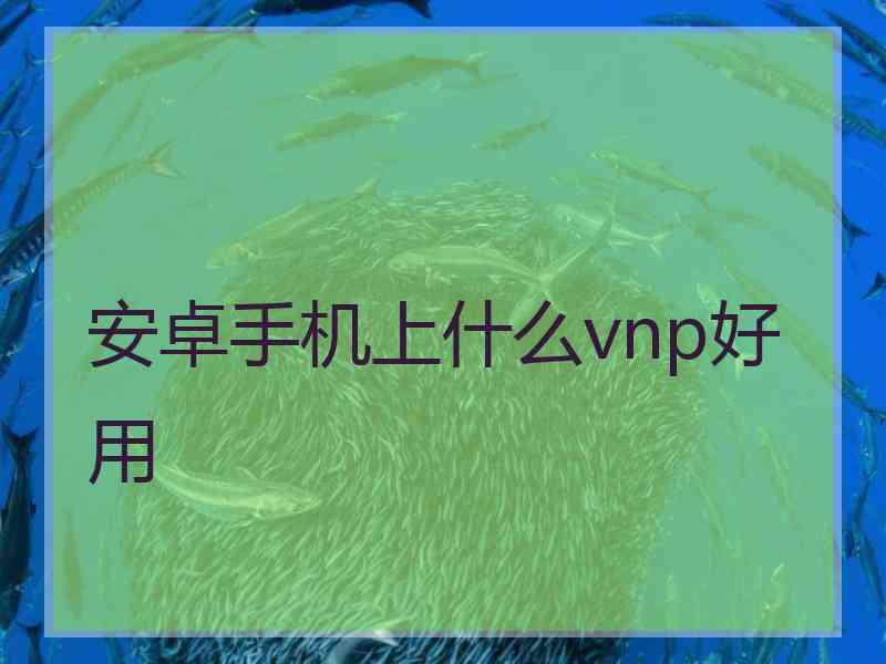 安卓手机上什么vnp好用