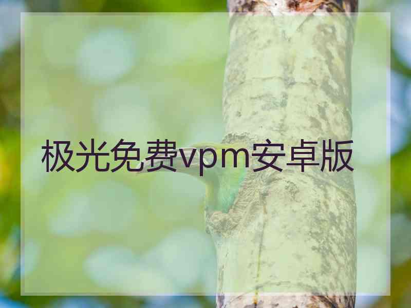 极光免费vpm安卓版