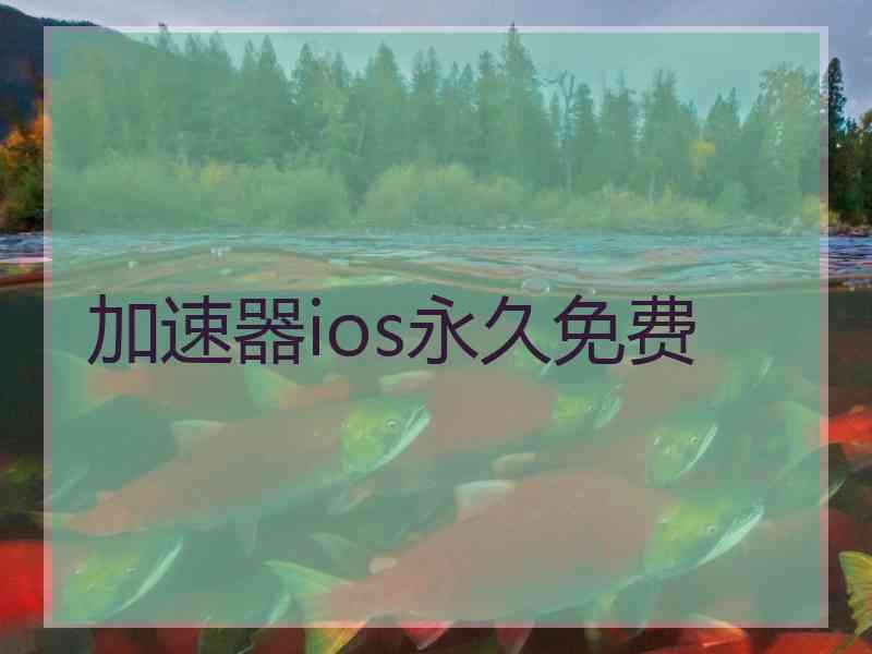 加速器ios永久免费