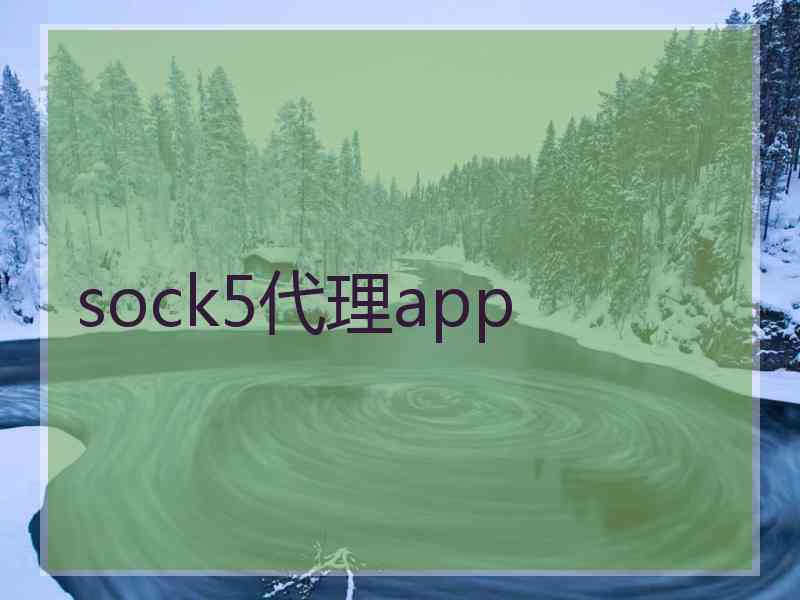 sock5代理app