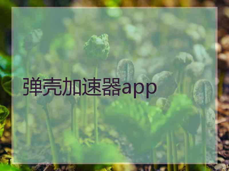 弹壳加速器app