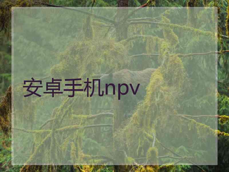 安卓手机npv