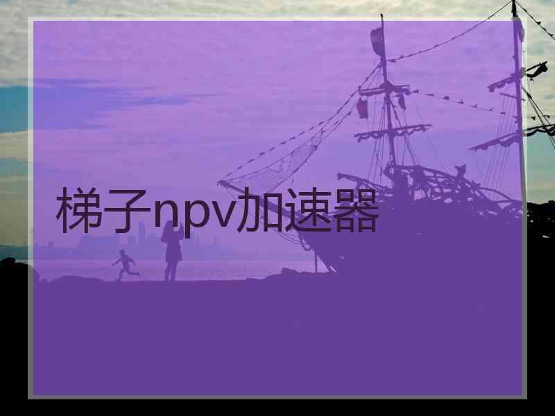 梯子npv加速器