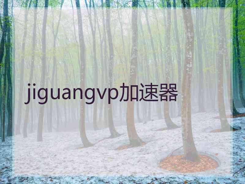 jiguangvp加速器