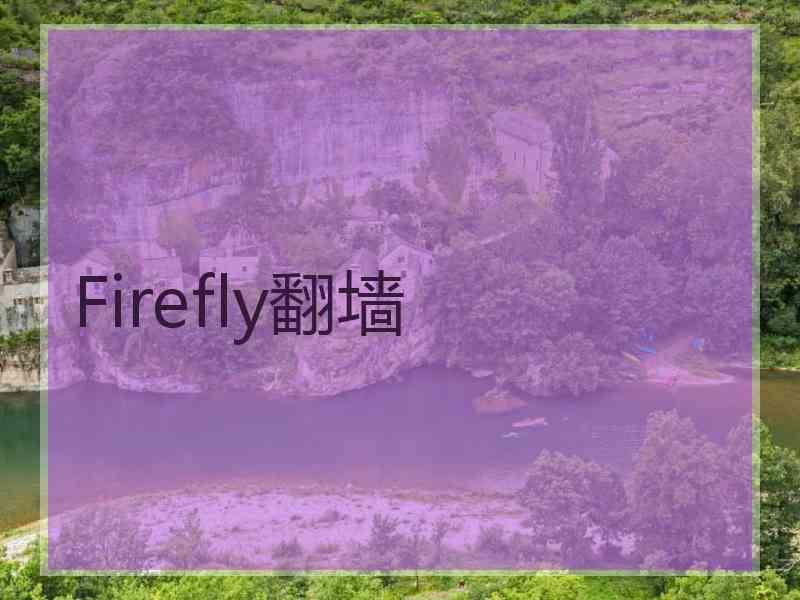 Firefly翻墙