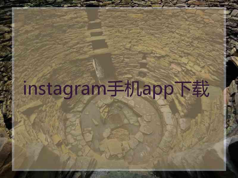 instagram手机app下载